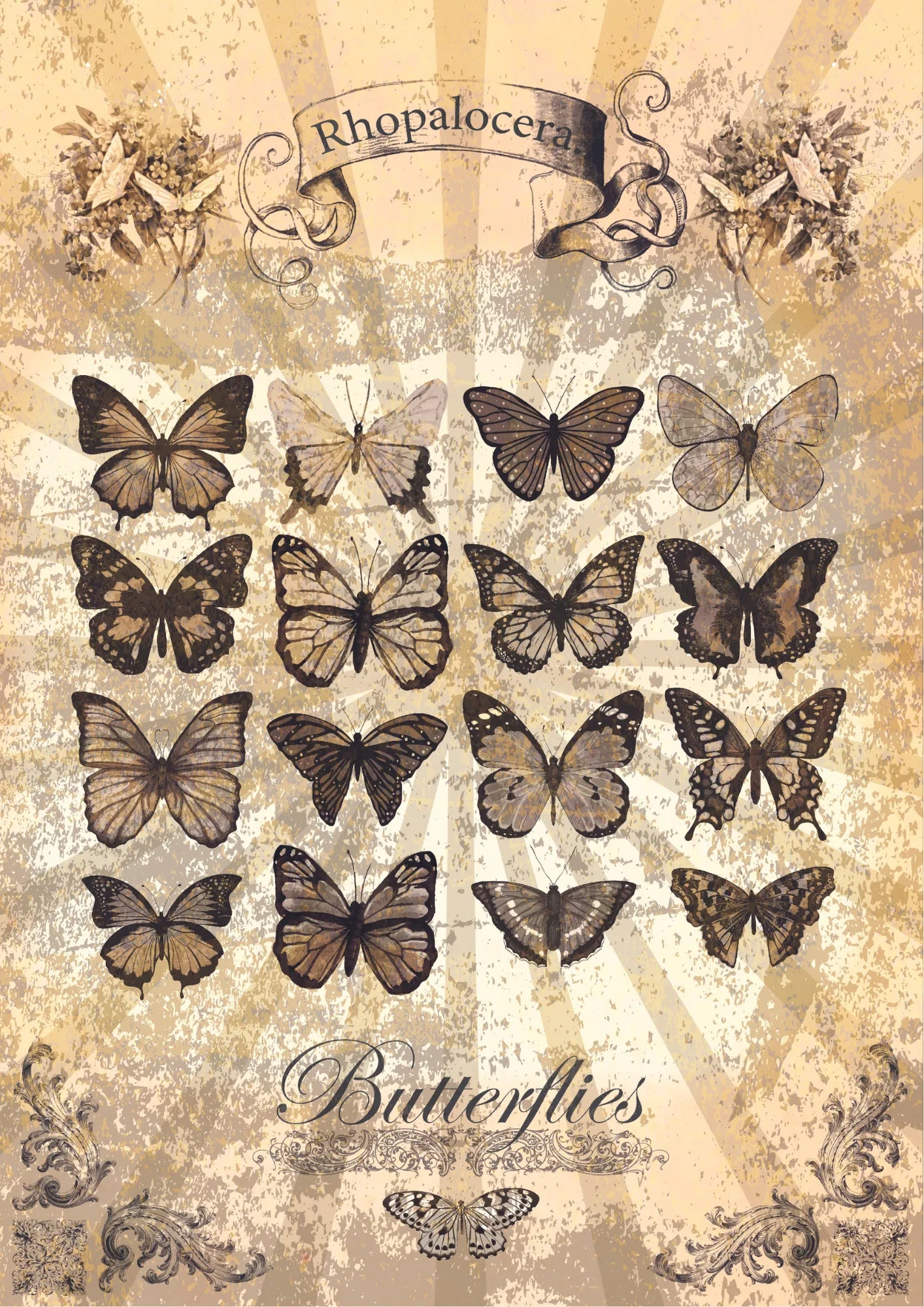 Vintage Butterflies Plakat
