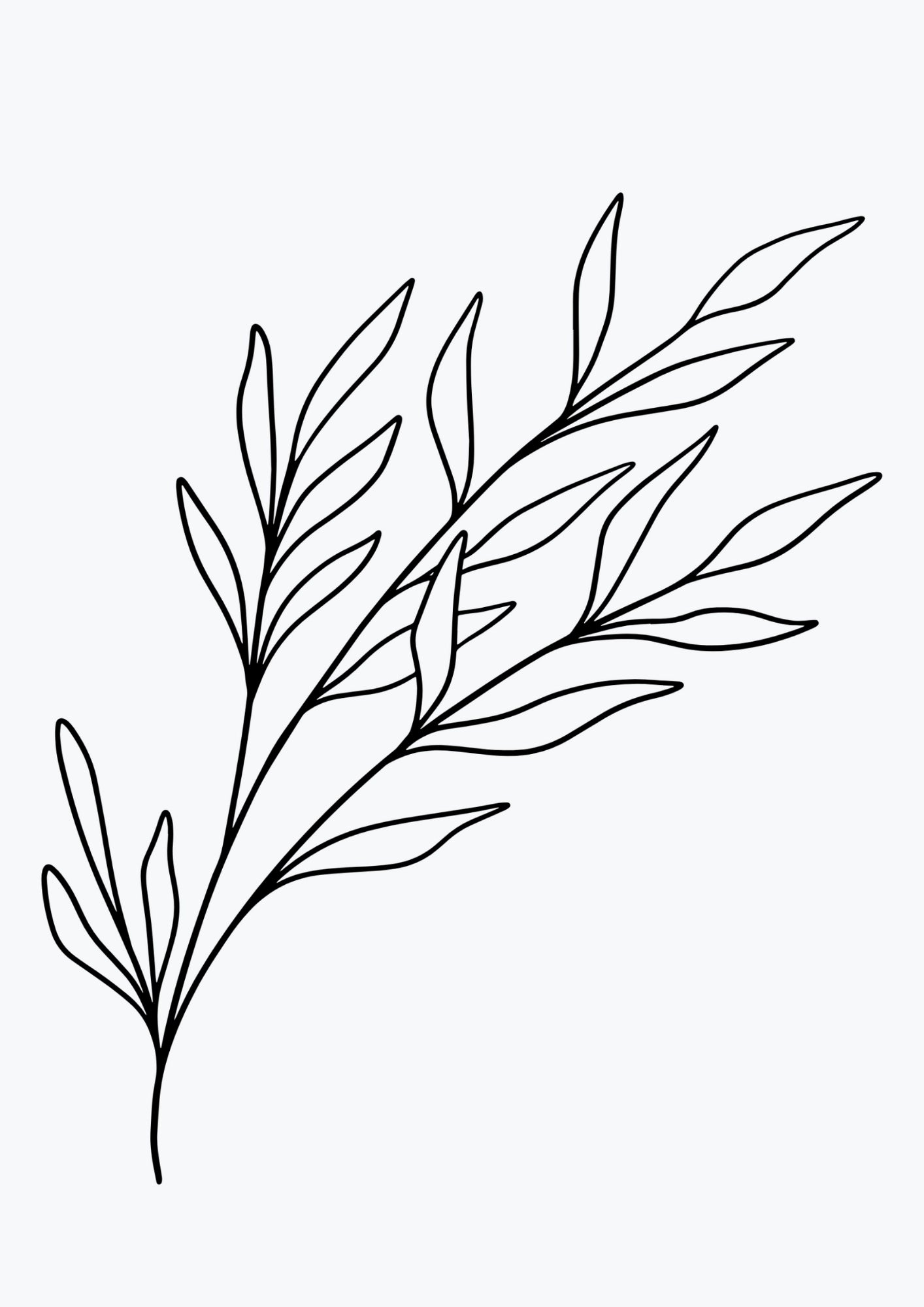 Botaniczny szkic gałązki minimalistyczny plakat