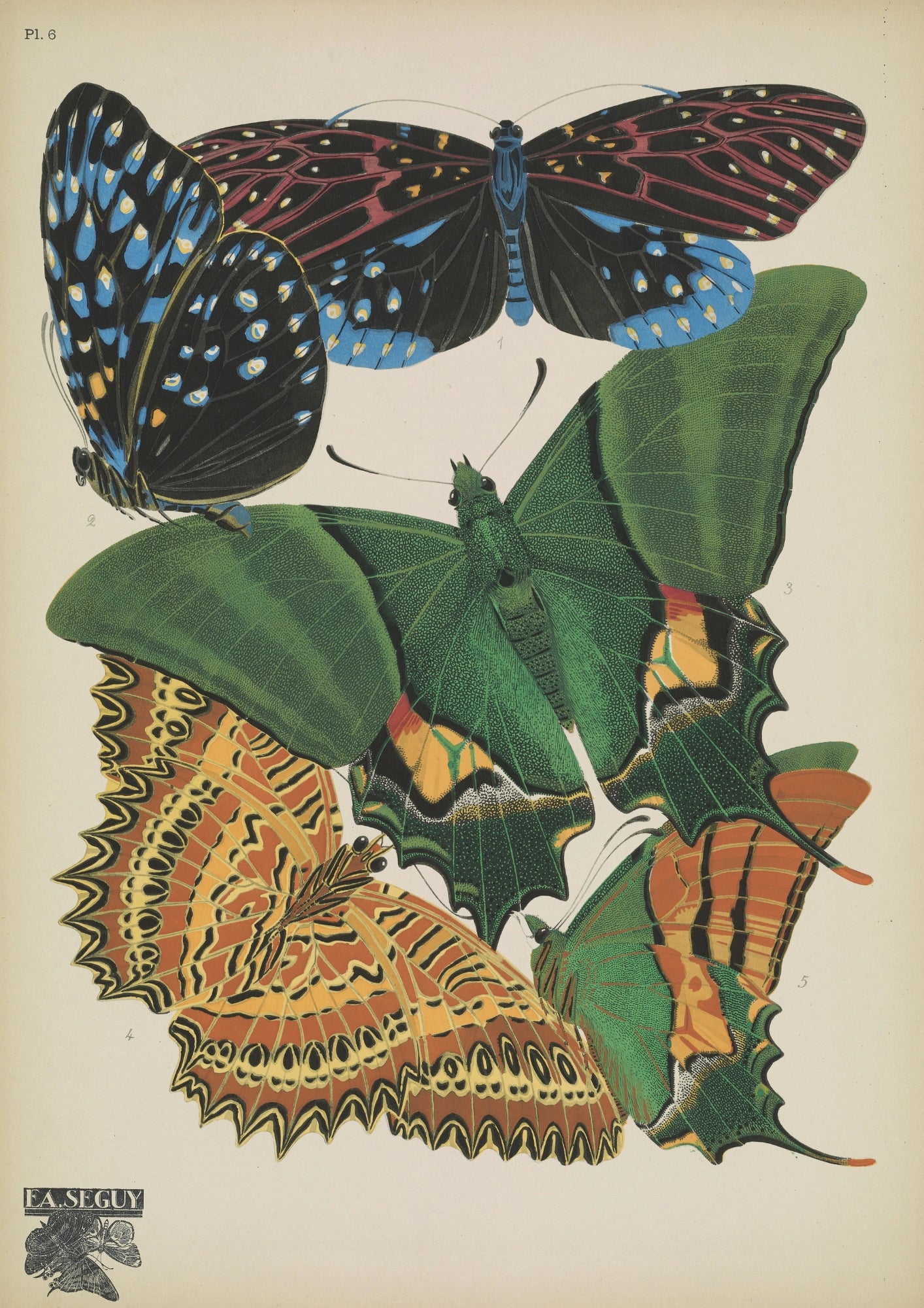 Egzotyczne Motyle Art Nouveau Plakat