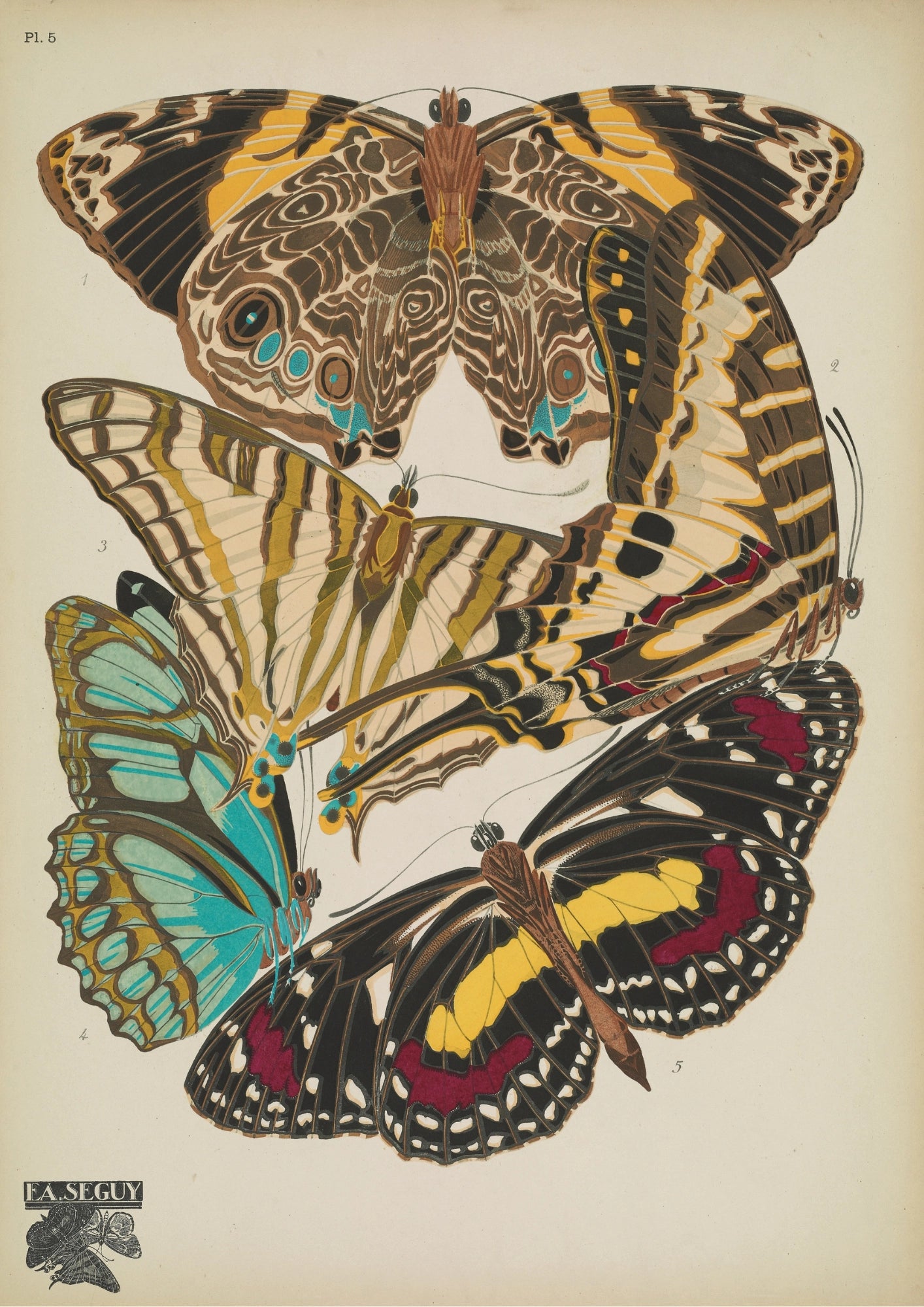 Kolorowe Motyle Seguy Plakat