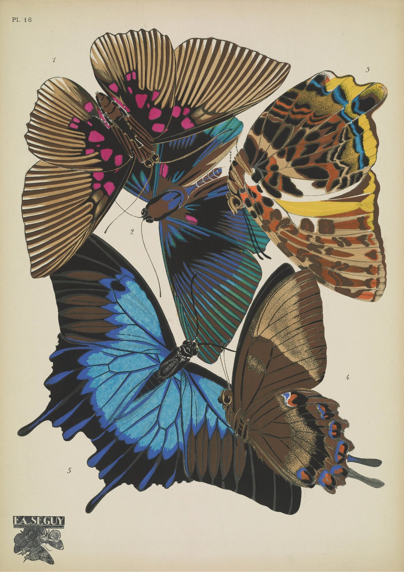 Motyle w Odcieniach Lata Plakat