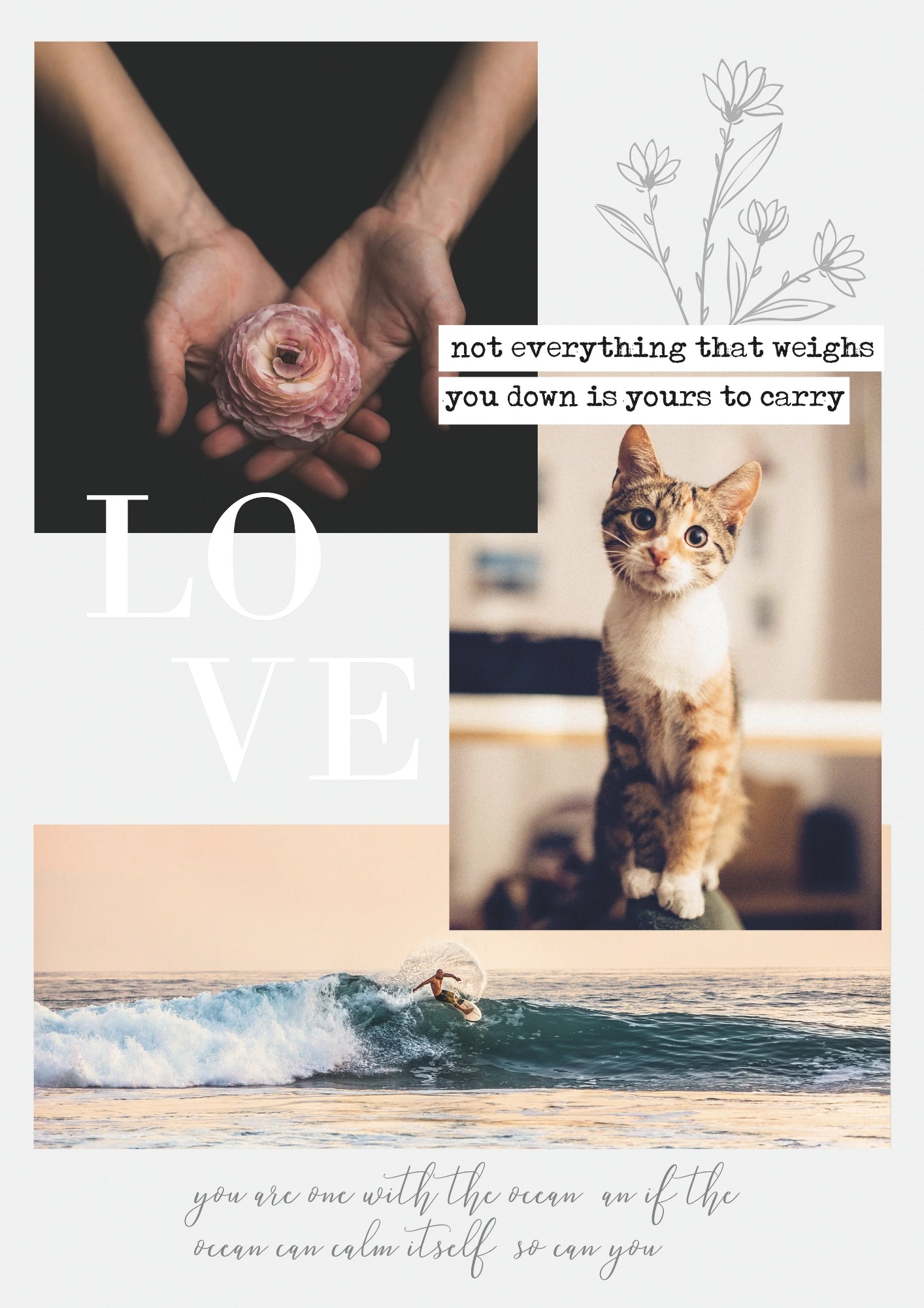 Kot Kwiaty Plaża Miłość Plakat