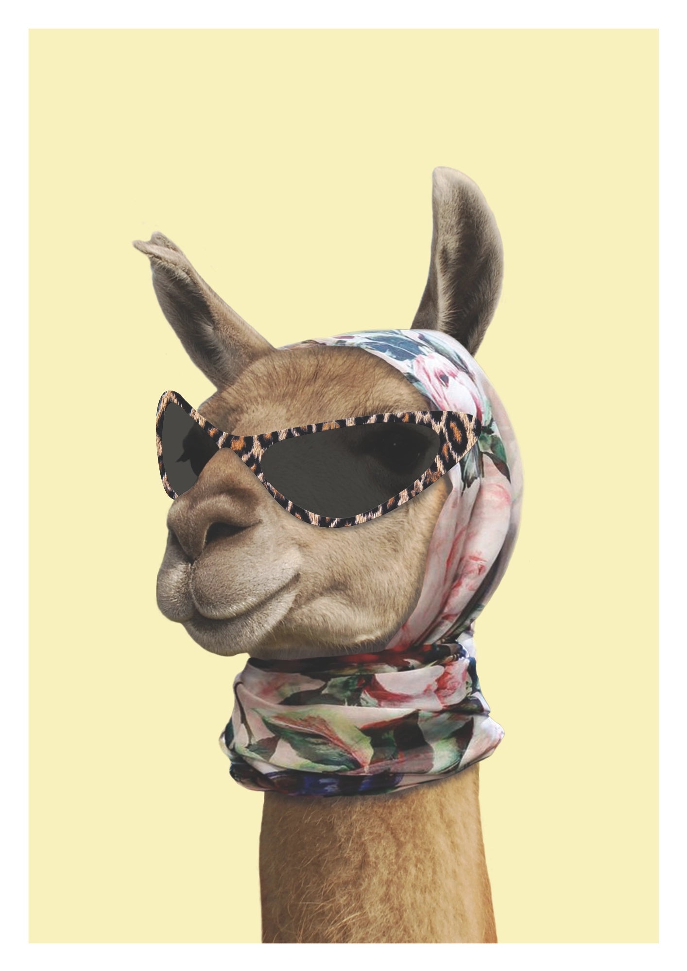Stylowa Lama w Okularach Plakat