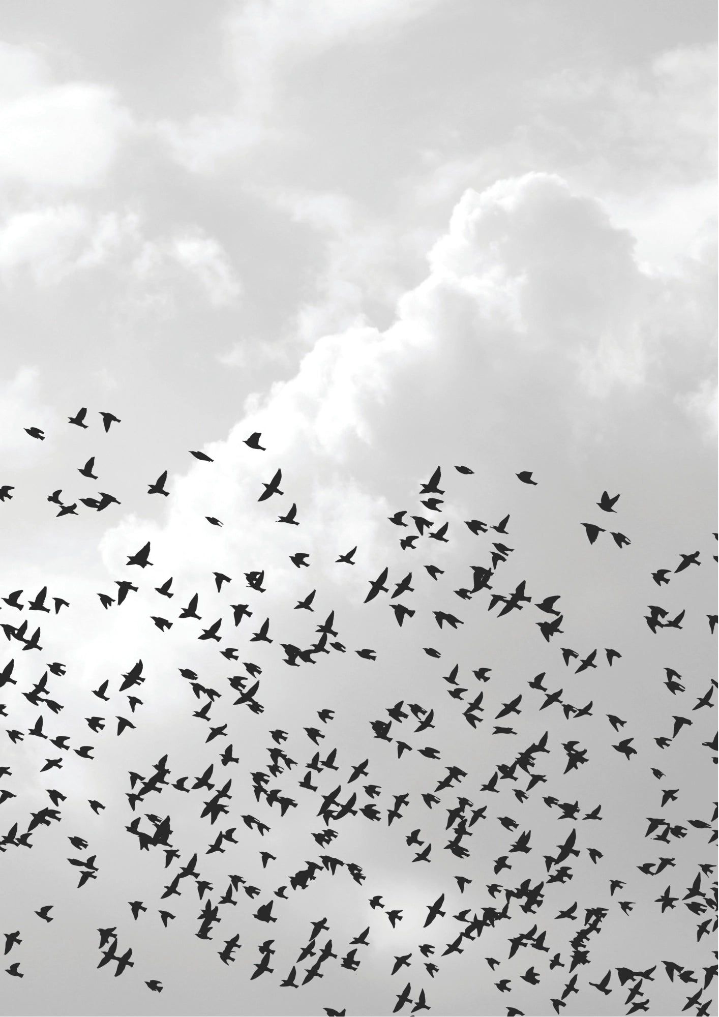 Ptaki na Chmurnym Niebie Plakat