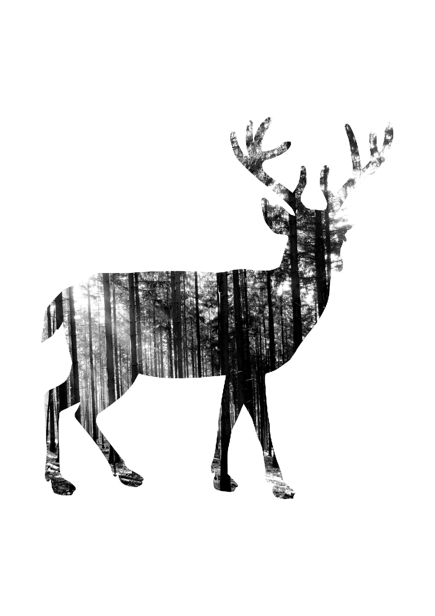 Czarno-biała Leśna Sarenka Plakat