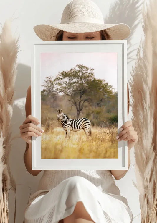 Zebra na Sawannie o Świcie Plakat