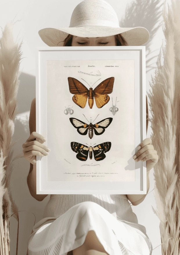 Vintage Motyle Plakat