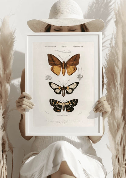Vintage Motyle Plakat