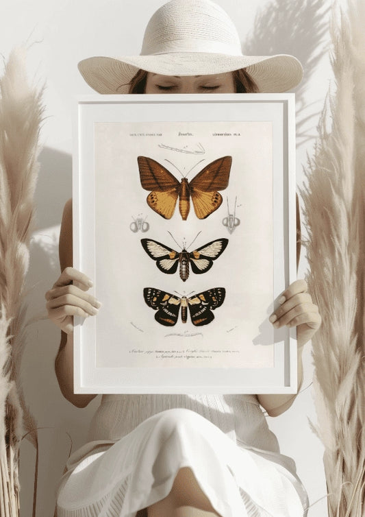 Vintage Motyle Plakat