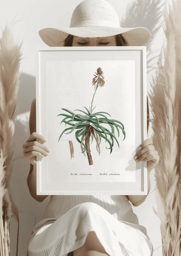 Botaniczny Plakat z Aloesem Arborescens