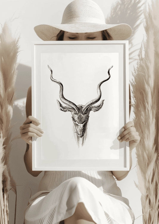 Ilustracja Antylopa z Rogami Plakat