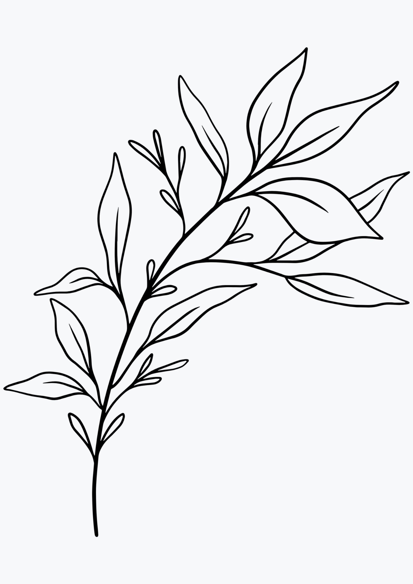 Botaniczny minimalistyczny rysunek plakat