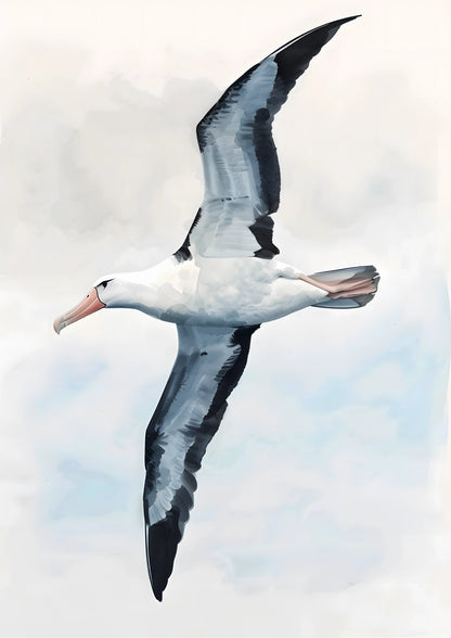 Albatros w Przestworzach Plakat