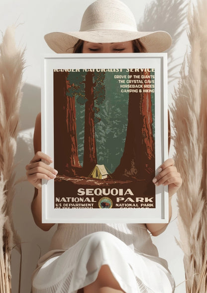 Sequoia National Park Gigantyczne Sekwoje Plakat