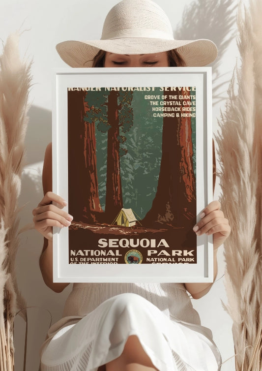 Sequoia National Park Gigantyczne Sekwoje Plakat