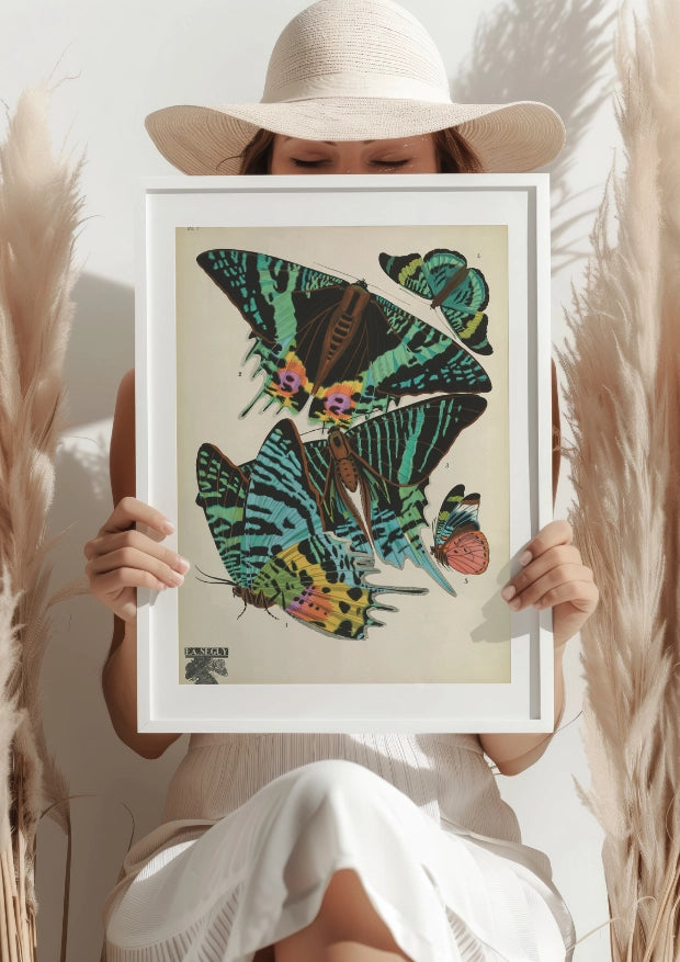 Kalejdoskop Motyli Art Nouveau Plakat