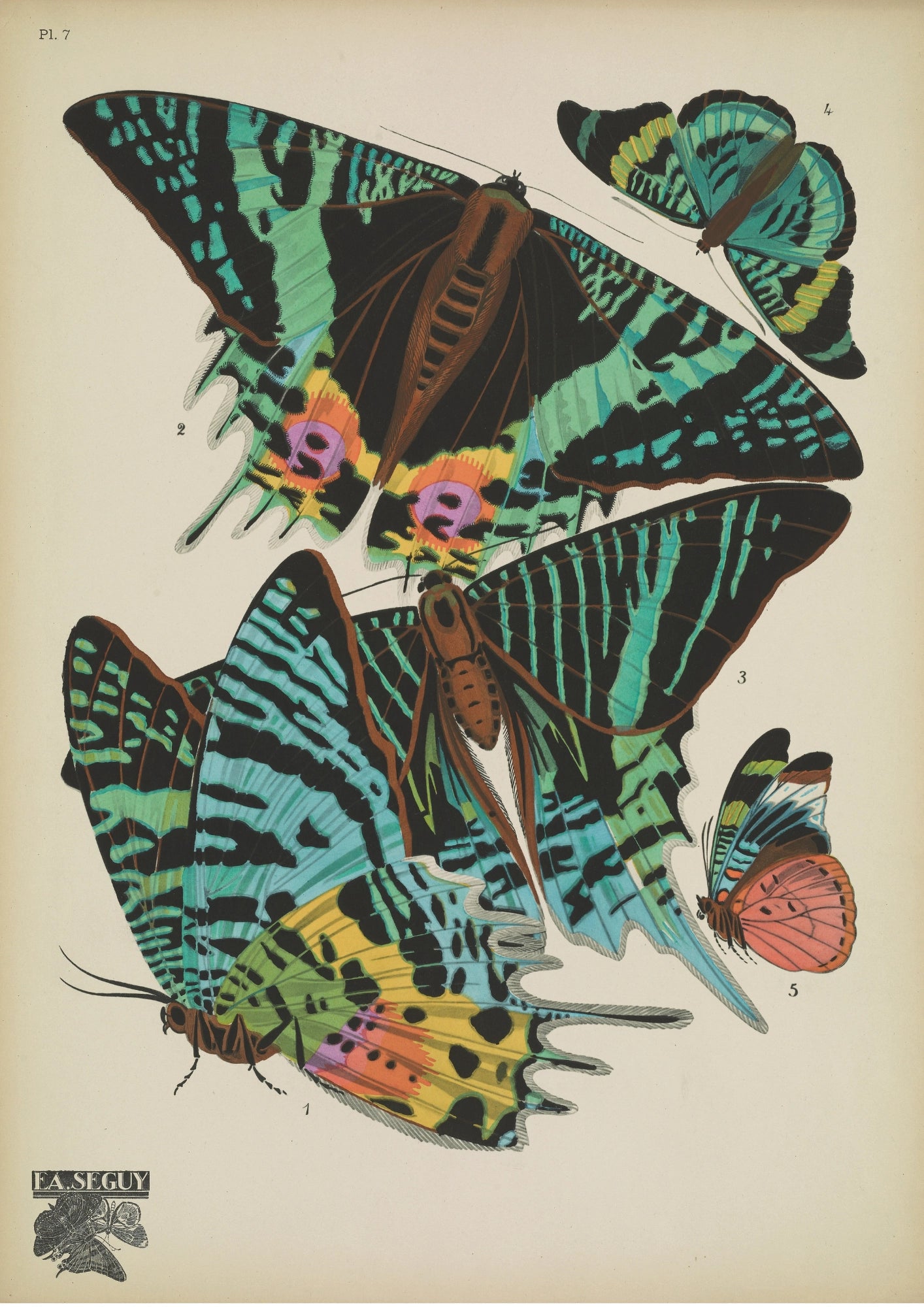Kalejdoskop Motyli Art Nouveau Plakat