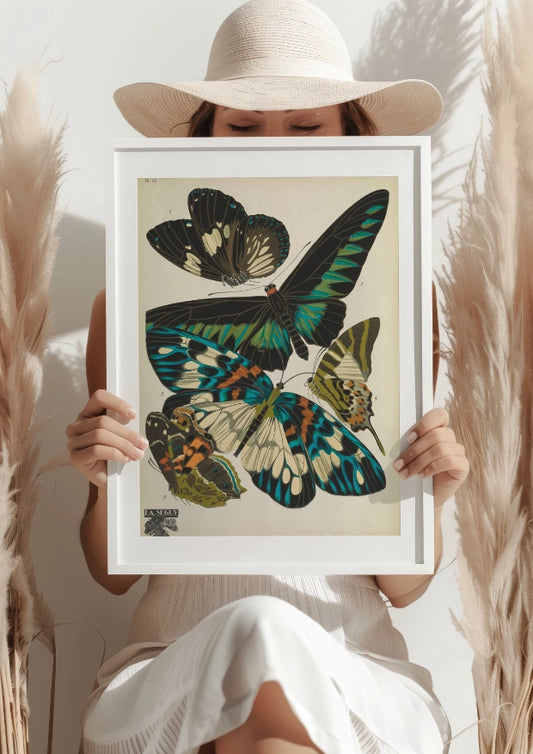 Kolorowe Motyle Seguy Plakat