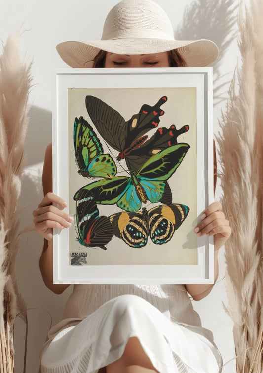 Tropikalne Motyle Seguy Plakat