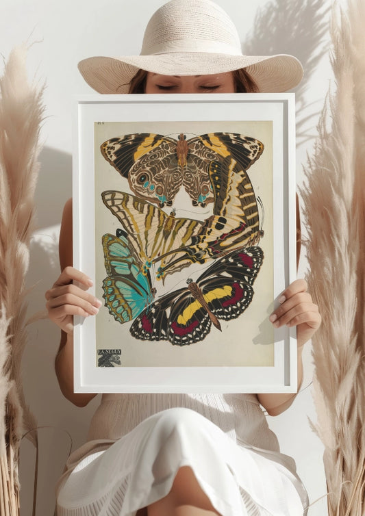 Kolorowe Motyle Seguy Plakat
