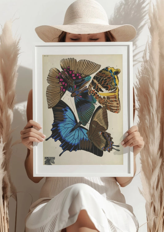 Motyle w Odcieniach Lata Plakat
