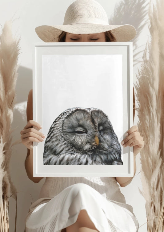 Senny Puchacz Naturalny Plakat
