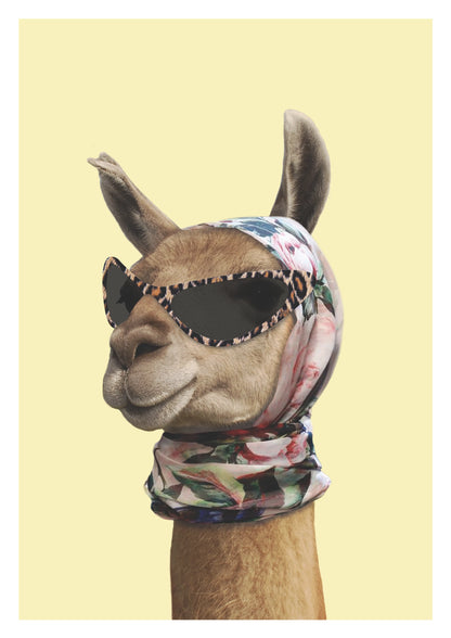 Stylowa Lama w Okularach Plakat